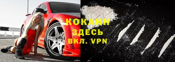 трава Сосновка