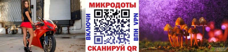 Купить  Донецк  Галлюциногенные грибы прущие грибы 